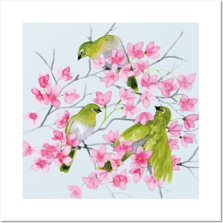 cherry blossoms & white eyed birds Posters and Art